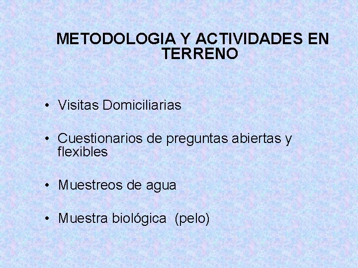 METODOLOGIA Y ACTIVIDADES EN TERRENO • Visitas Domiciliarias • Cuestionarios de preguntas abiertas y