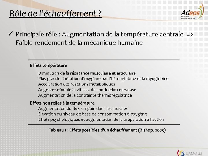 Rôle de l’échauffement ? ü Principale rôle : Augmentation de la température centrale =>