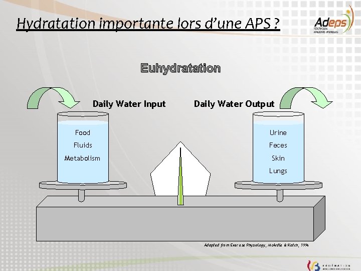 Hydratation importante lors d’une APS ? Euhydratation Daily Water Input Daily Water Output Food