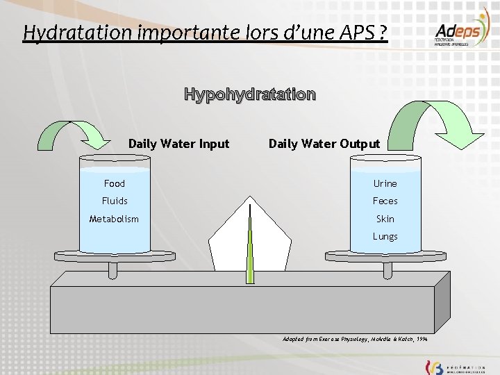 Hydratation importante lors d’une APS ? Hypohydratation Daily Water Input Daily Water Output Food