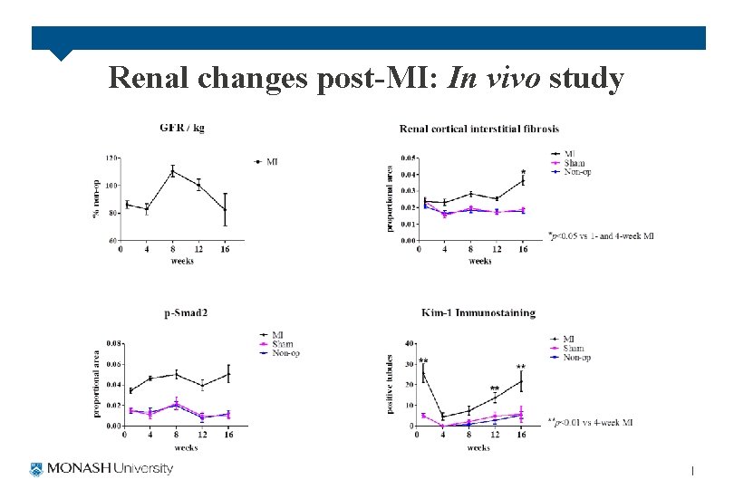 Renal changes post-MI: In vivo study 