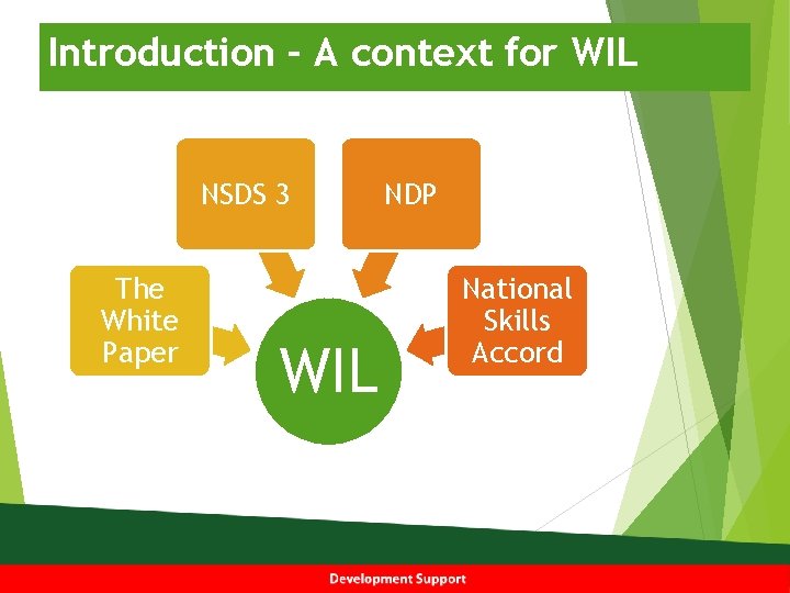 Introduction – A context for WIL NSDS 3 The White Paper WIL NDP National