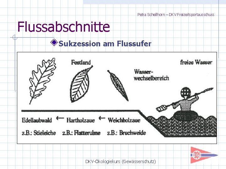 Petra Schellhorn – DKV Freizeitsportausschuss Flussabschnitte Sukzession am Flussufer DKV-Ökologiekurs (Gewässerschutz) 