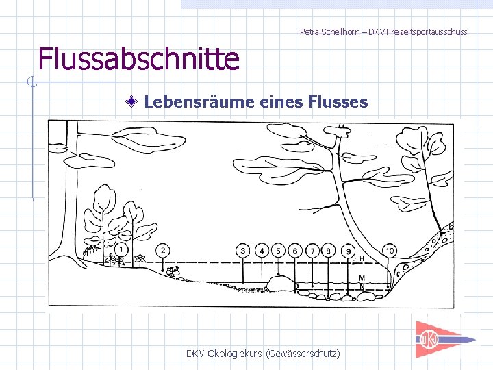 Petra Schellhorn – DKV Freizeitsportausschuss Flussabschnitte Lebensräume eines Flusses DKV-Ökologiekurs (Gewässerschutz) 