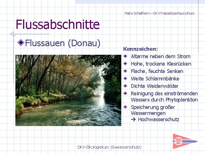 Petra Schellhorn – DKV Freizeitsportausschuss Flussabschnitte Flussauen (Donau) Kennzeichen: Altarme neben dem Strom Hohe,