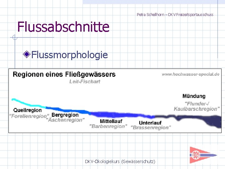 Petra Schellhorn – DKV Freizeitsportausschuss Flussabschnitte Flussmorphologie DKV-Ökologiekurs (Gewässerschutz) 