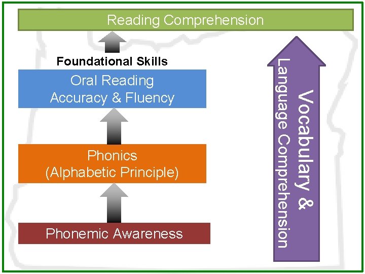 Reading Comprehension Phonics (Alphabetic Principle) Phonemic Awareness Vocabulary & Oral Reading Accuracy & Fluency