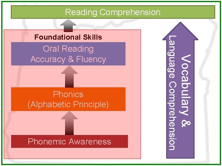 Reading Comprehension Phonics (Alphabetic Principle) Phonemic Awareness Vocabulary & Oral Reading Accuracy & Fluency