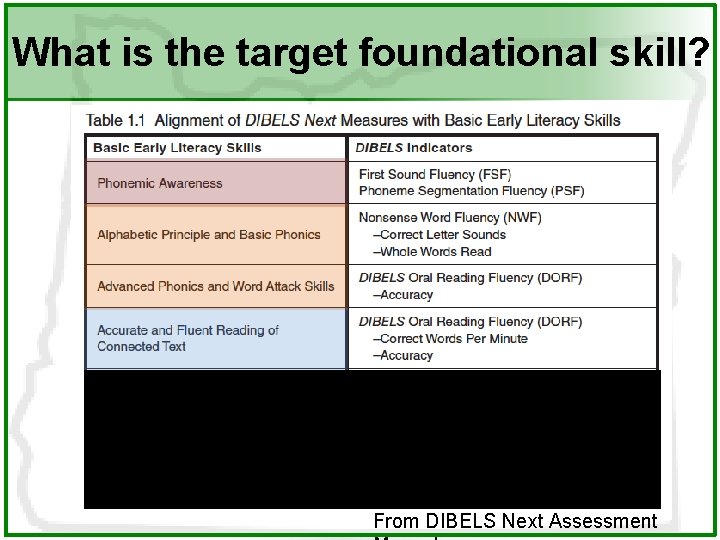 What is the target foundational skill? From DIBELS Next Assessment 