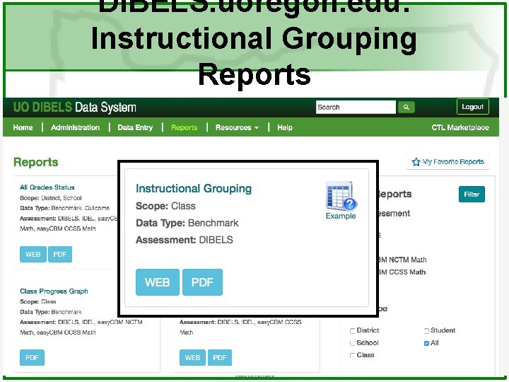 DIBELS. uoregon. edu: Instructional Grouping Reports 