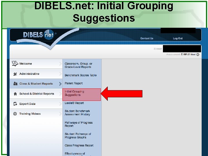 DIBELS. net: Initial Grouping Suggestions 