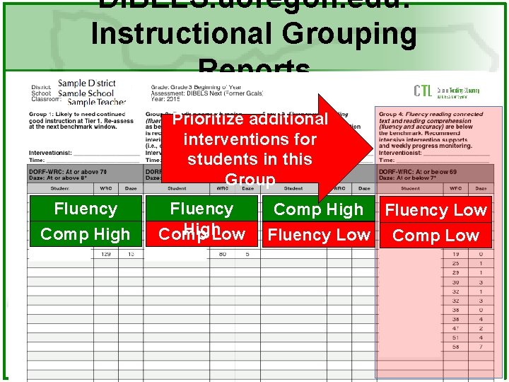 DIBELS. uoregon. edu: Instructional Grouping Reports Prioritize additional interventions for students in this Group