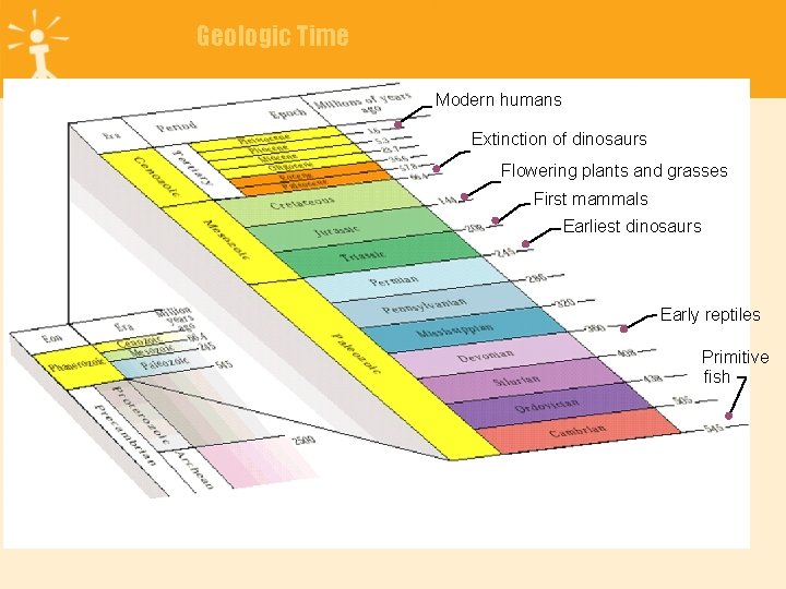 Geologic Time Modern humans 1_14 Extinction of dinosaurs Flowering plants and grasses First mammals