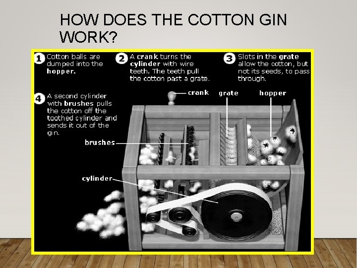 HOW DOES THE COTTON GIN WORK? HOW DOES THE COTTON GIN WORK?