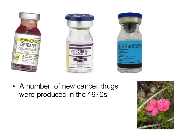  • A number of new cancer drugs were produced in the 1970 s