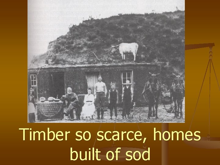 Timber so scarce, homes built of sod 