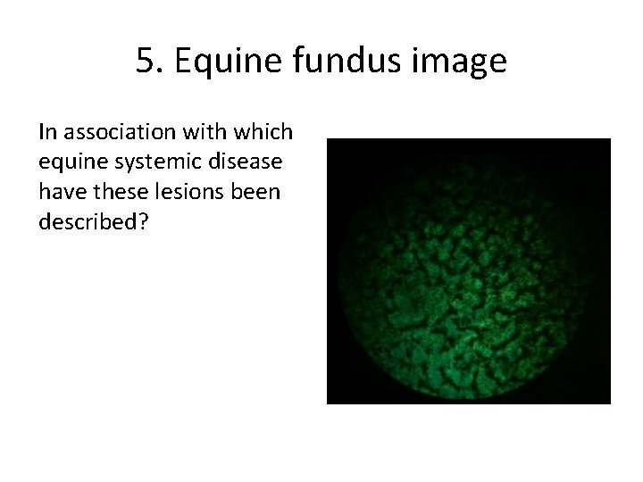 5. Equine fundus image In association with which equine systemic disease have these lesions