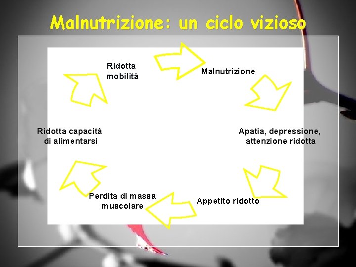 Malnutrizione: un ciclo vizioso Ridotta mobilità Ridotta capacità di alimentarsi Perdita di massa muscolare