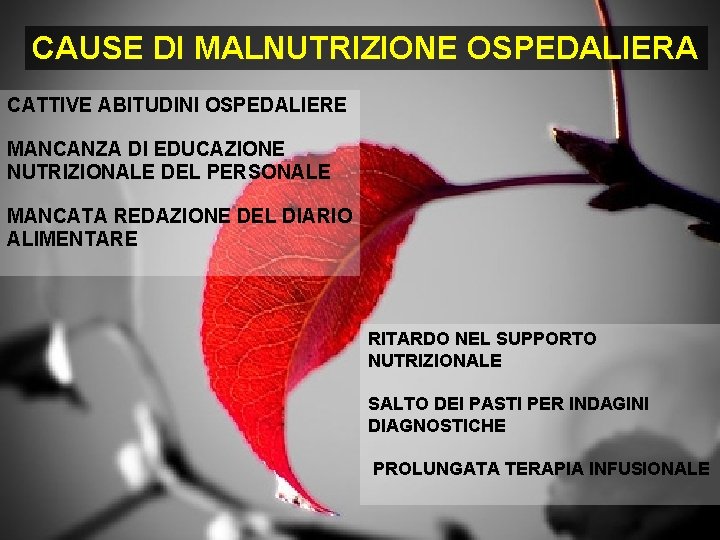 CAUSE DI MALNUTRIZIONE OSPEDALIERA CATTIVE ABITUDINI OSPEDALIERE MANCANZA DI EDUCAZIONE NUTRIZIONALE DEL PERSONALE MANCATA