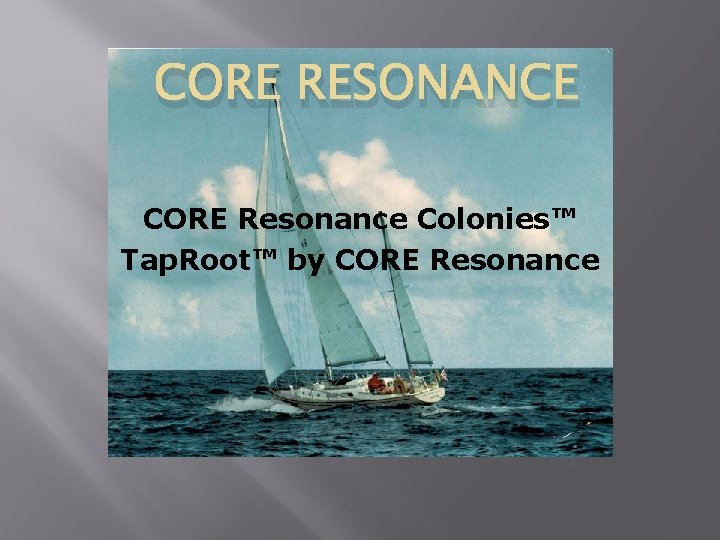 CORE RESONANCE CORE Resonance Colonies™ Tap. Root™ by CORE Resonance 