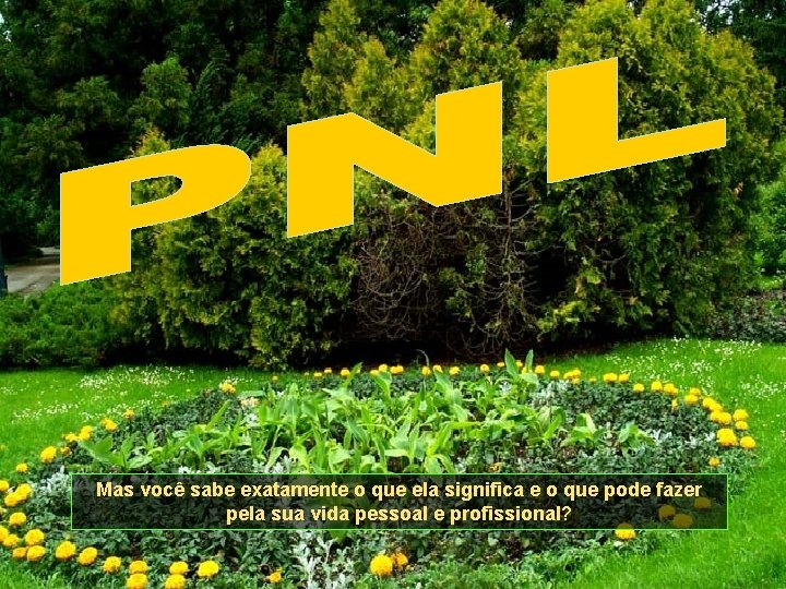 Mas você sabe exatamente o que ela significa e o que pode fazer pela