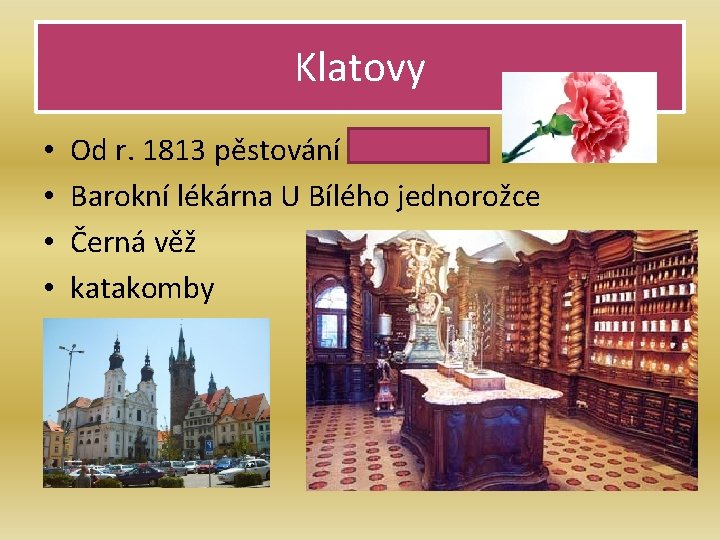 Klatovy • • Od r. 1813 pěstování karafiátů Barokní lékárna U Bílého jednorožce Černá