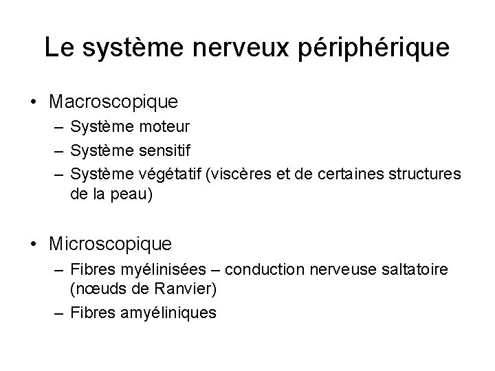 Le système nerveux périphérique • Macroscopique – Système moteur – Système sensitif – Système