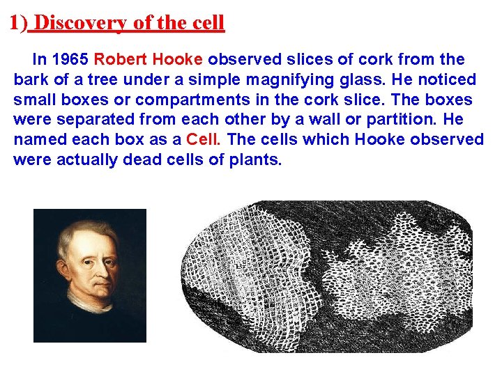 1) Discovery of the cell In 1965 Robert Hooke observed slices of cork from