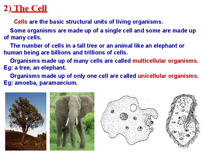 2) The Cells are the basic structural units of living organisms. Some organisms are