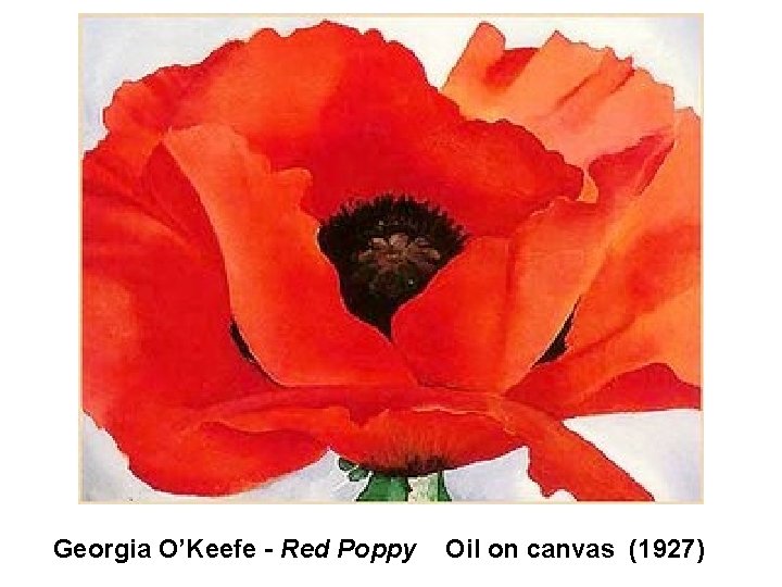 Georgia O’Keefe - Red Poppy Oil on canvas (1927) 