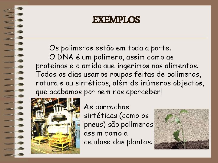 EXEMPLOS Os polímeros estão em toda a parte. O DNA é um polímero, assim