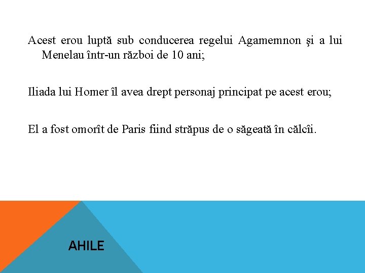 Acest erou luptă sub conducerea regelui Agamemnon şi a lui Menelau într-un război de