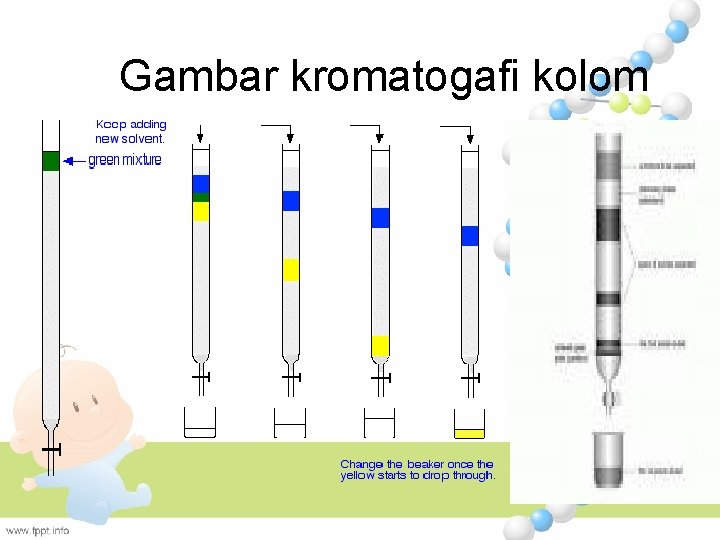 Gambar kromatogafi kolom 