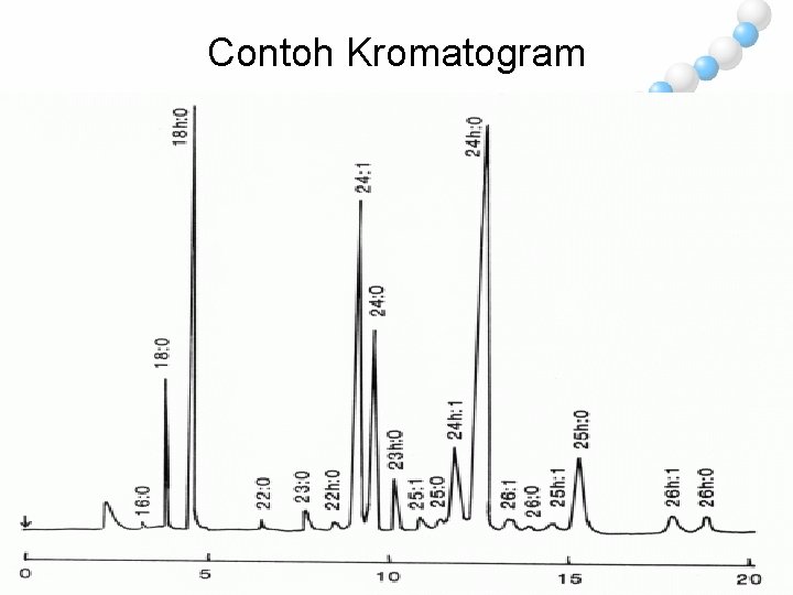 Contoh Kromatogram 