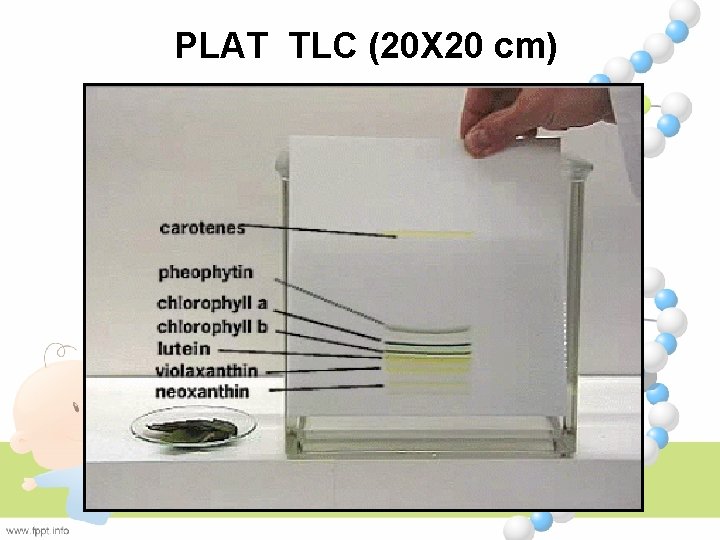 PLAT TLC (20 X 20 cm) 