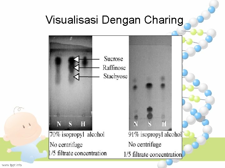 Visualisasi Dengan Charing 