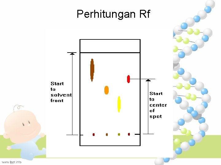 Perhitungan Rf 