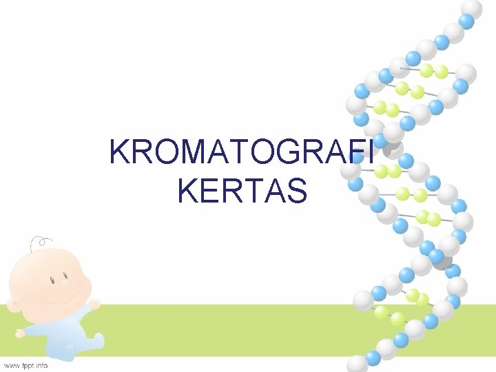 KROMATOGRAFI KERTAS 