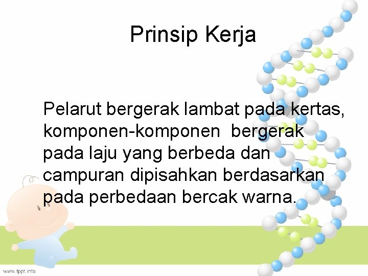 Prinsip Kerja Pelarut bergerak lambat pada kertas, komponen-komponen bergerak pada laju yang berbeda dan