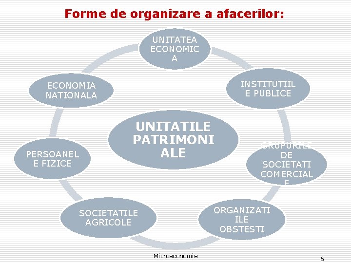 Forme de organizare a afacerilor: UNITATEA ECONOMIC A INSTITUTIIL E PUBLICE ECONOMIA NATIONALA PERSOANEL