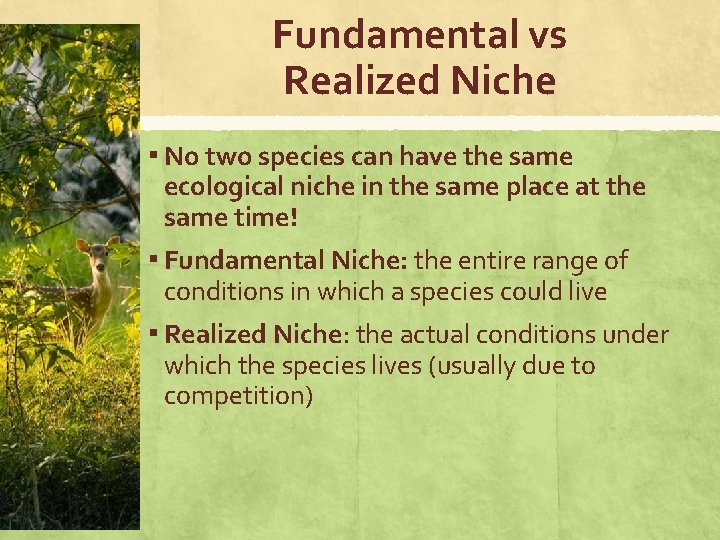 Fundamental vs Realized Niche ▪ No two species can have the same ecological niche
