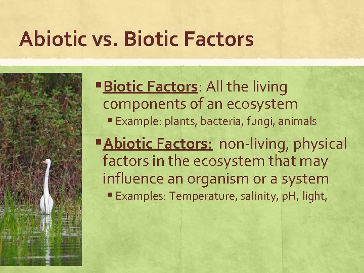 Abiotic vs. Biotic Factors §Biotic Factors: All the living components of an ecosystem §
