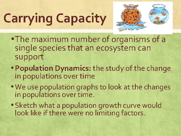 Carrying Capacity ▪ The maximum number of organisms of a single species that an