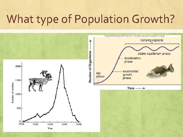 What type of Population Growth? 