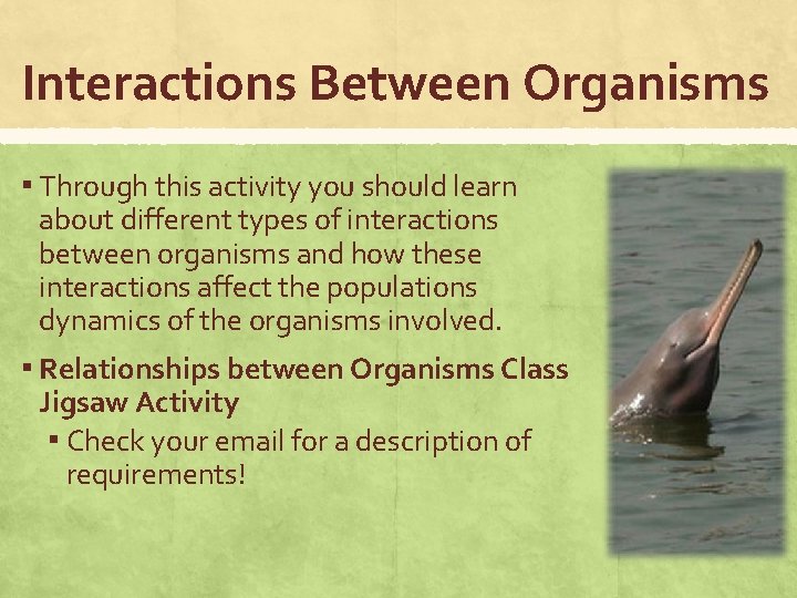 Interactions Between Organisms ▪ Through this activity you should learn about different types of