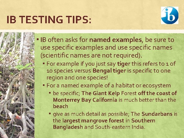 IB TESTING TIPS: ▪ IB often asks for named examples, be sure to use