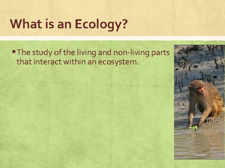 What is an Ecology? § The study of the living and non-living parts that