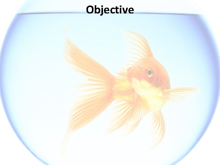 Objective 