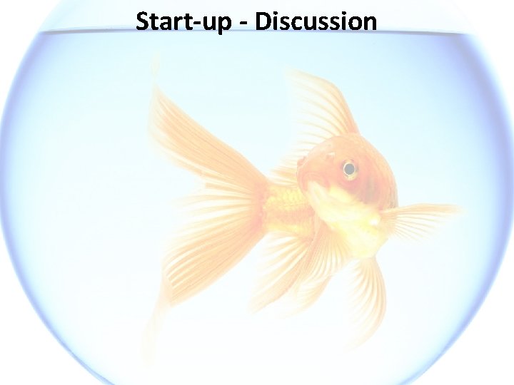 Start-up - Discussion 