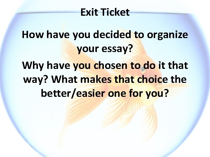 Exit Ticket How have you decided to organize your essay? Why have you chosen